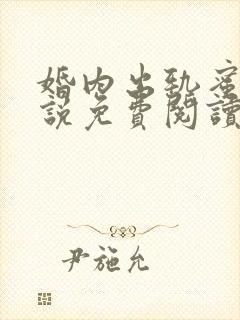 婚内出轨蜜甜小说免费阅读