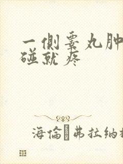 一侧睾丸肿大一碰就疼