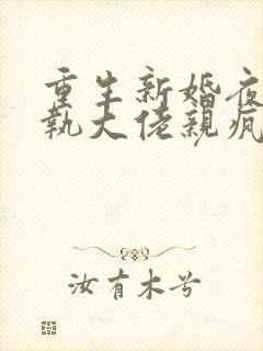 重生新婚夜被偏执大佬亲疯了下载