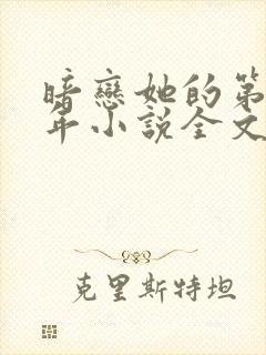 暗恋她的第十一年小说全文