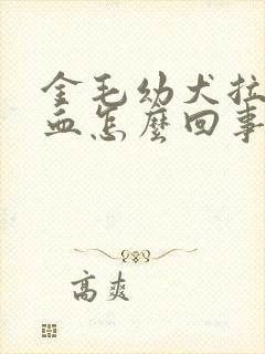 金毛幼犬拉屎带血怎么回事