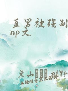 直男被强制雌堕np文