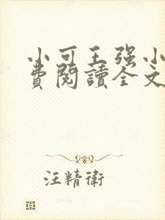 小可王强小说免费阅读全文
