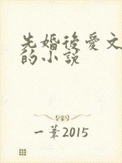 先婚后爱文笔好的小说