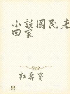 小说国民老公带回家