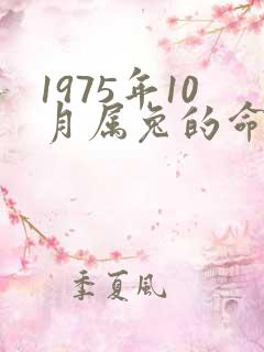 1975年10月属兔的命运