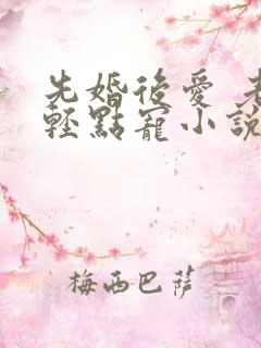 先婚后爱 老公轻点宠小说