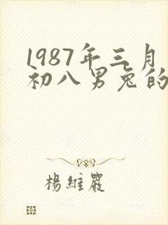 1987年三月初八男兔的命运