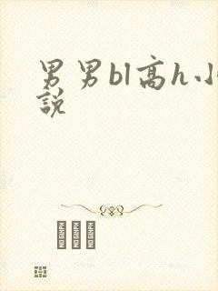男男bl高h小说
