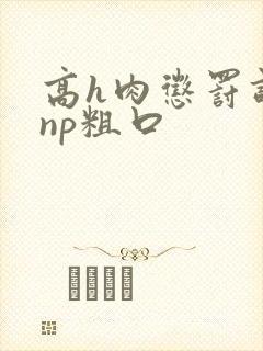 高h肉惩罚调教np粗口