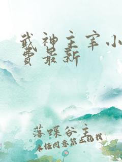 武神主宰小说免费最新