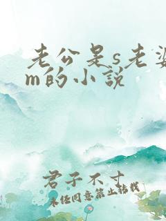 老公是s老婆是m的小说