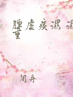 脾虚痰湿 湿气重