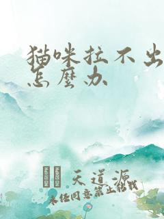 猫咪拉不出来尿怎么办