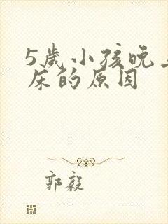 5岁小孩晚上尿床的原因