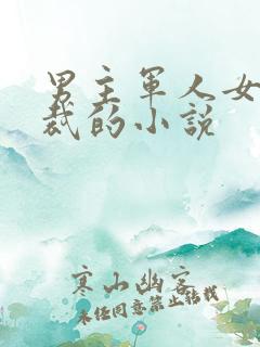 男主军人女主总裁的小说