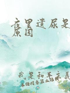 夜里遗尿是什么原因