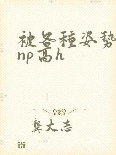 被各种姿势玩弄np高h