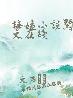 梅姨小说阅读全文在线