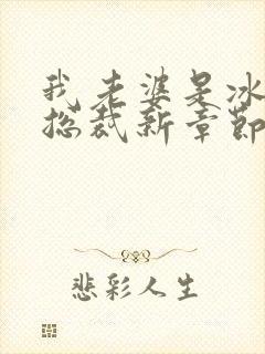 我老婆是冰山女总裁新章节沈浪