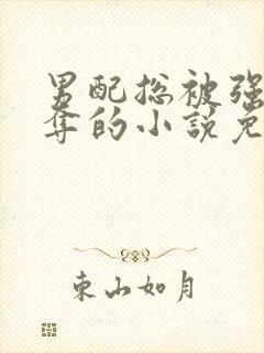 男配总被强取豪夺的小说免费阅读