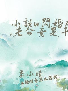 小说w闪婚成宠,老公竟是千亿大佬》