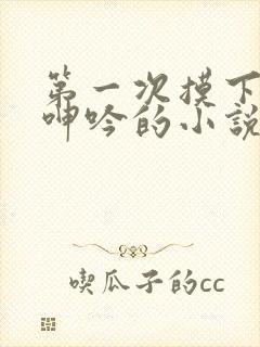 第一次摸下面她呻吟的小说