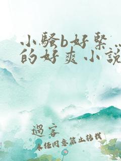 小骚b好紧…日的好爽小说