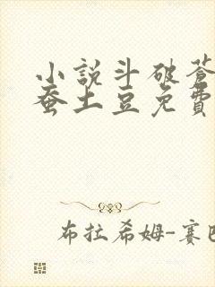 小说斗破苍穹天蚕土豆免费阅读