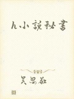 h小说秘书