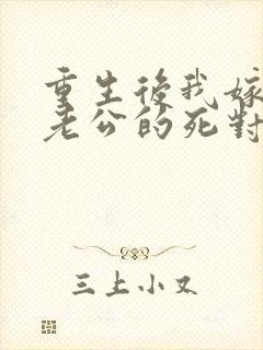 重生后我嫁给了老公的死对头 短剧