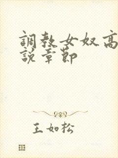 调教女奴高h小说章节