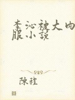 李沁被大肉楱征服小说