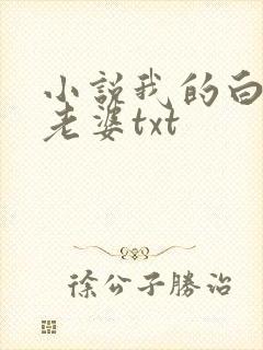 小说我的白富美老婆txt