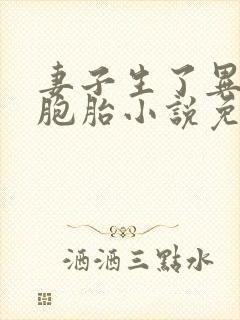 妻子生了异父双胞胎小说免费阅读