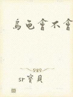 乌龟会不会生蛋