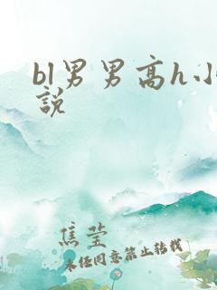 bl男男高h小说
