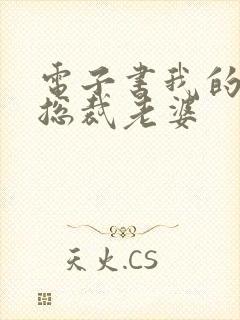 电子书我的冰山总裁老婆