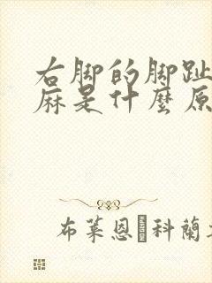 右脚的脚趾头发麻是什么原因