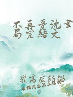 不再爱沈聿大结局完结文