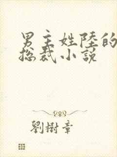 男主姓陆的所有总裁小说