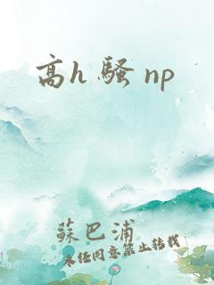 高h 骚 np