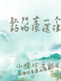 肛门有一个很大的肉球还很疼是什么