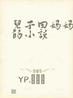 儿子回妈妈老家的小说