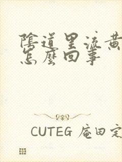 阴道里流黄水是怎么回事