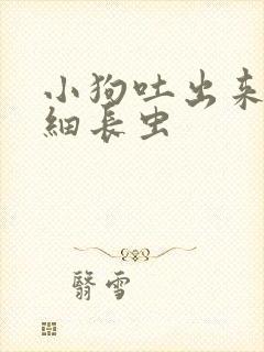 小狗吐出来白色细长虫