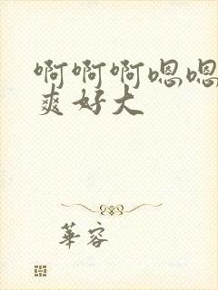 啊啊啊嗯嗯嗯好爽好大