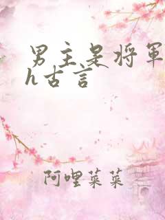 男主是将军的高h古言