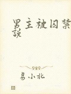 男主被囚禁的小说