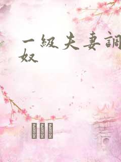 一级夫妻调教男奴